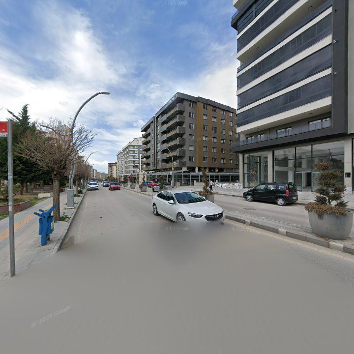 Fotoğraf 11