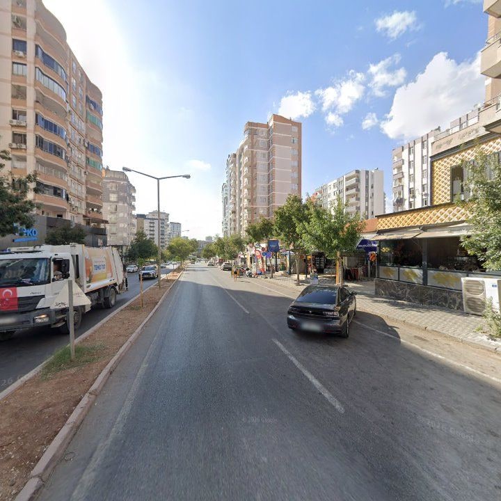 Fotoğraf 10