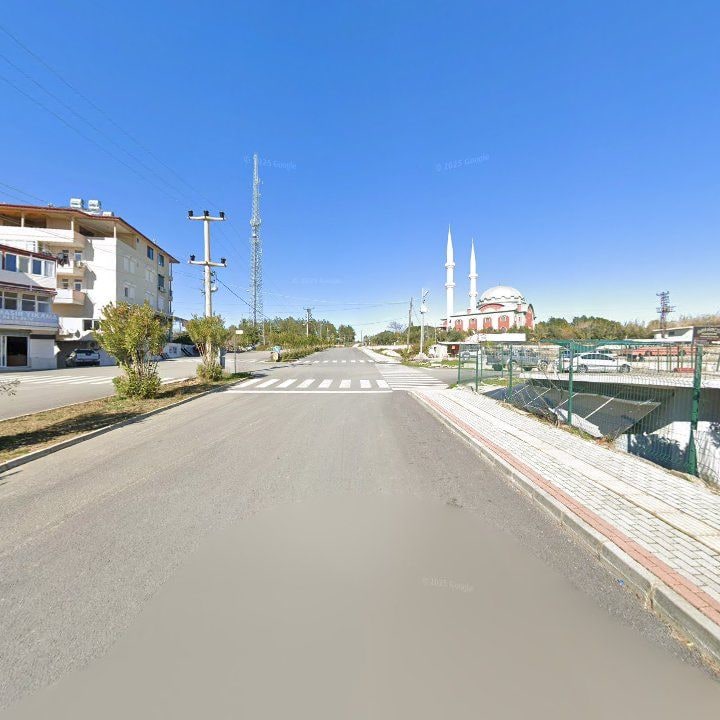 Fotoğraf 13
