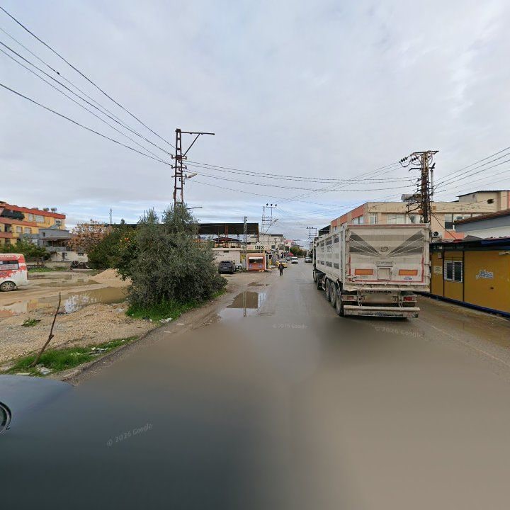 Fotoğraf 7
