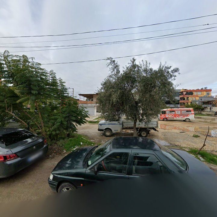 Fotoğraf 6