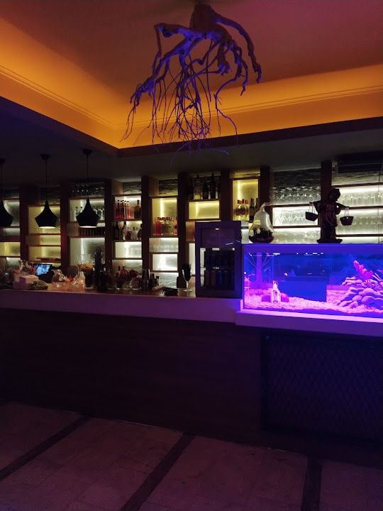 Midnight Cocktail Club