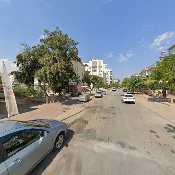 Fotoğraf 13