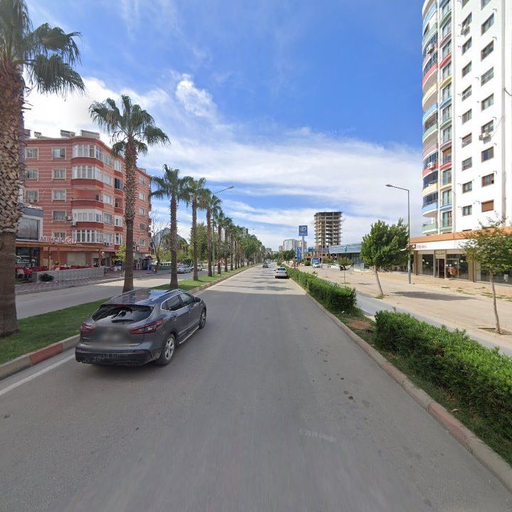 Fotoğraf 11