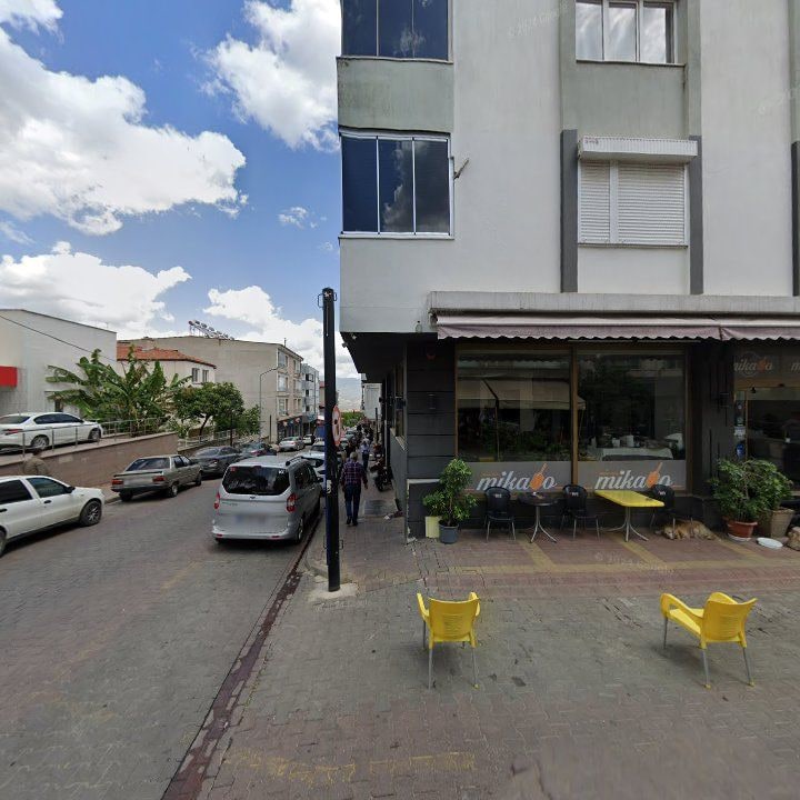 Fotoğraf 11