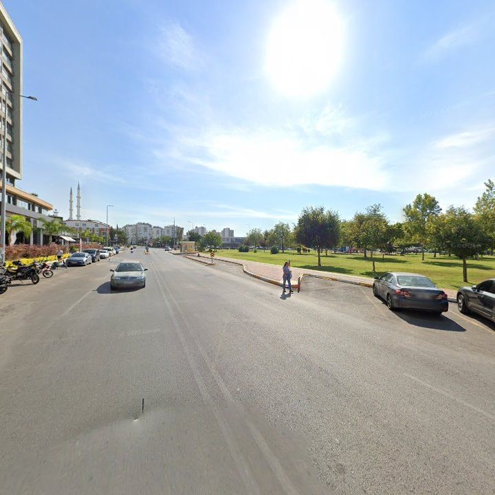 Fotoğraf 11