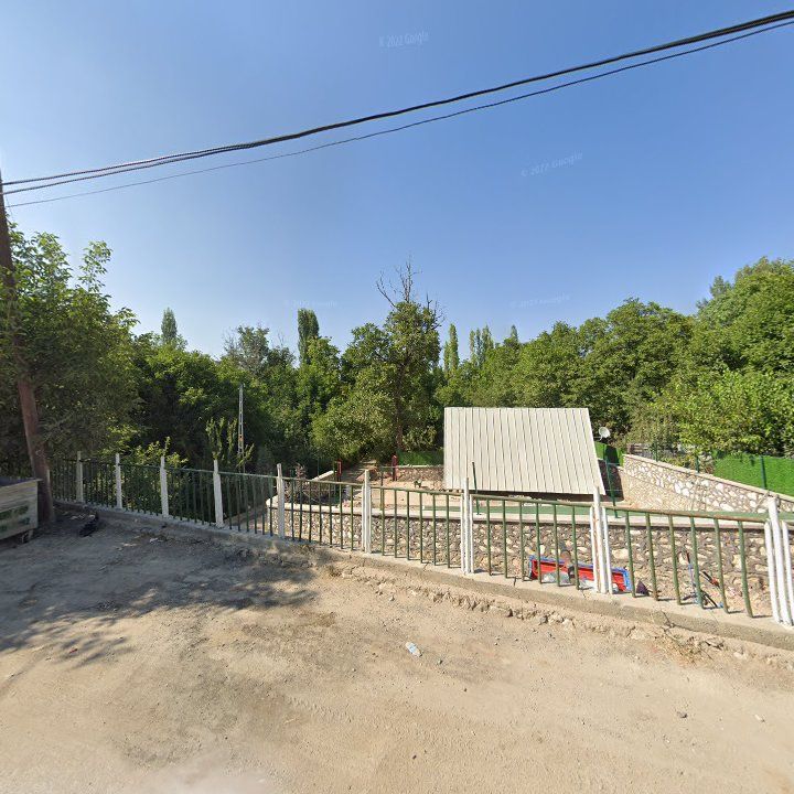 Fotoğraf 8
