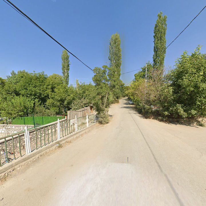 Fotoğraf 9