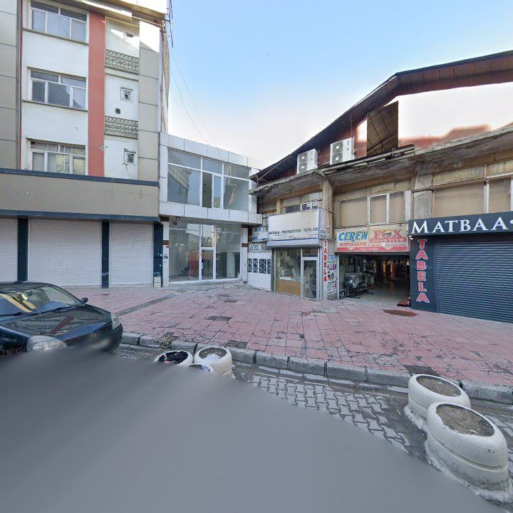 Fotoğraf 7
