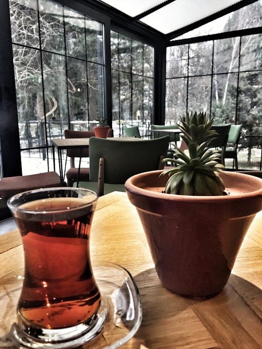 Fotoğraf 6