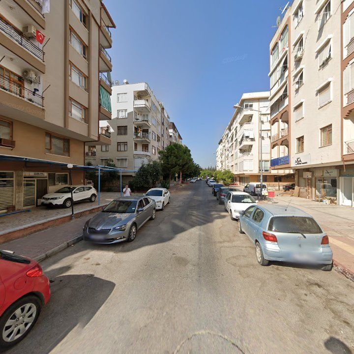 Fotoğraf 12