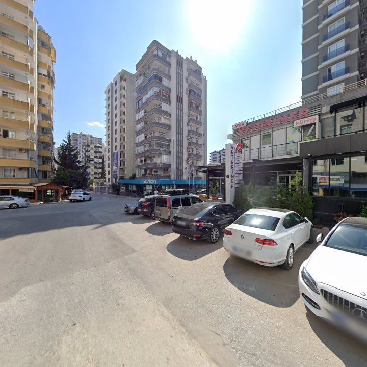 Fotoğraf 10