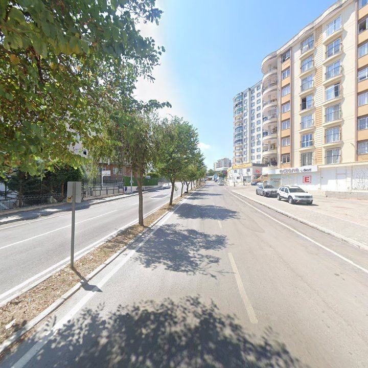 Fotoğraf 9