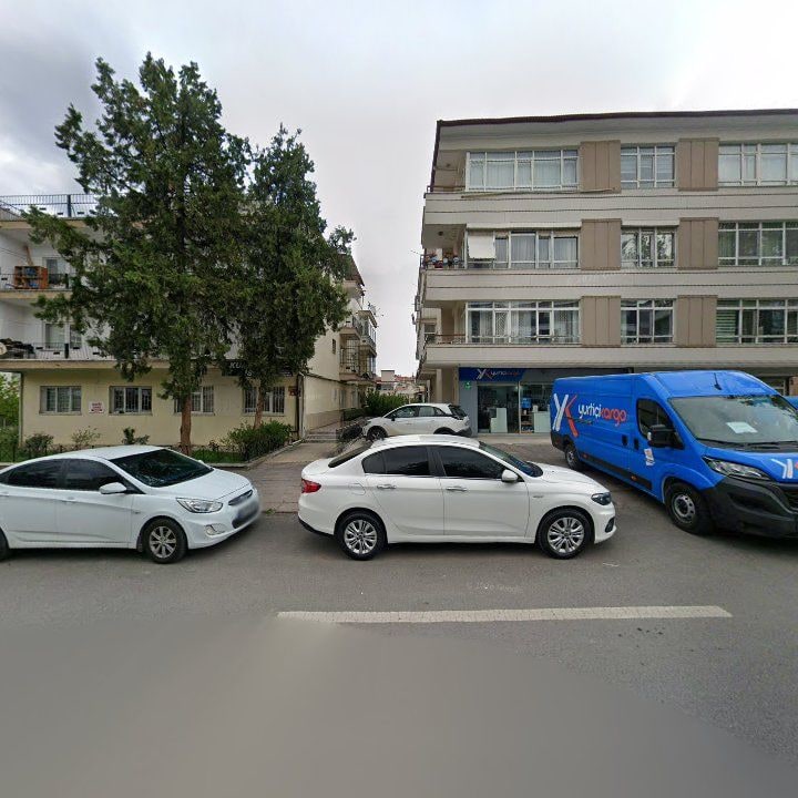 Fotoğraf 10