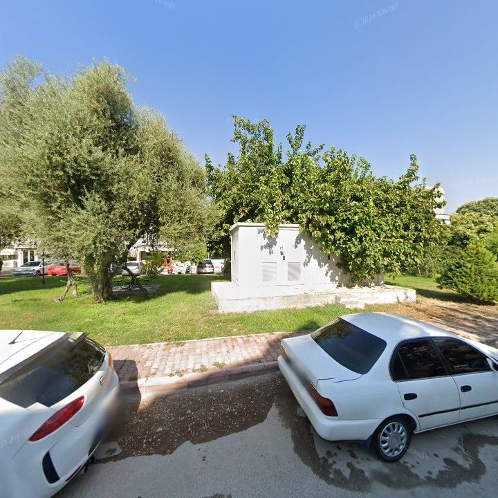 Fotoğraf 10