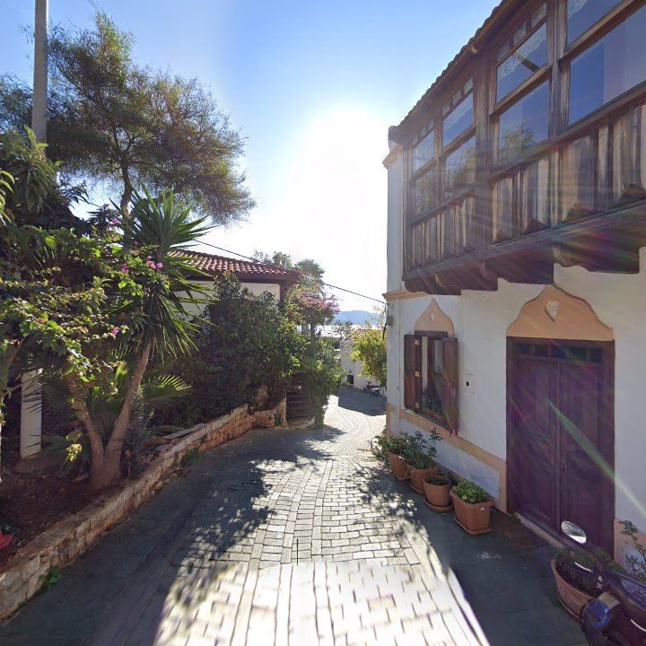Fotoğraf 10