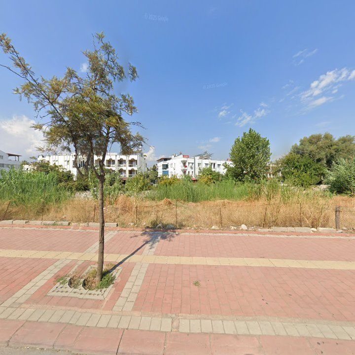 Fotoğraf 15
