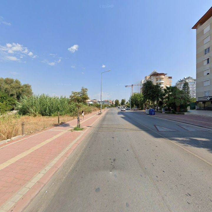 Fotoğraf 16