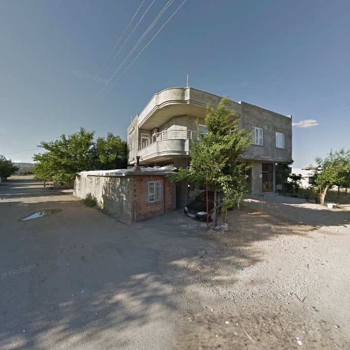 Fotoğraf 5
