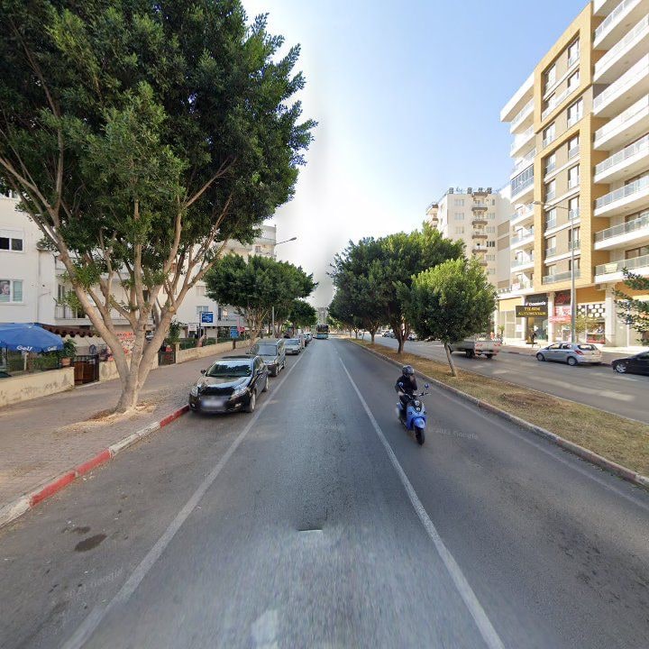 Fotoğraf 16