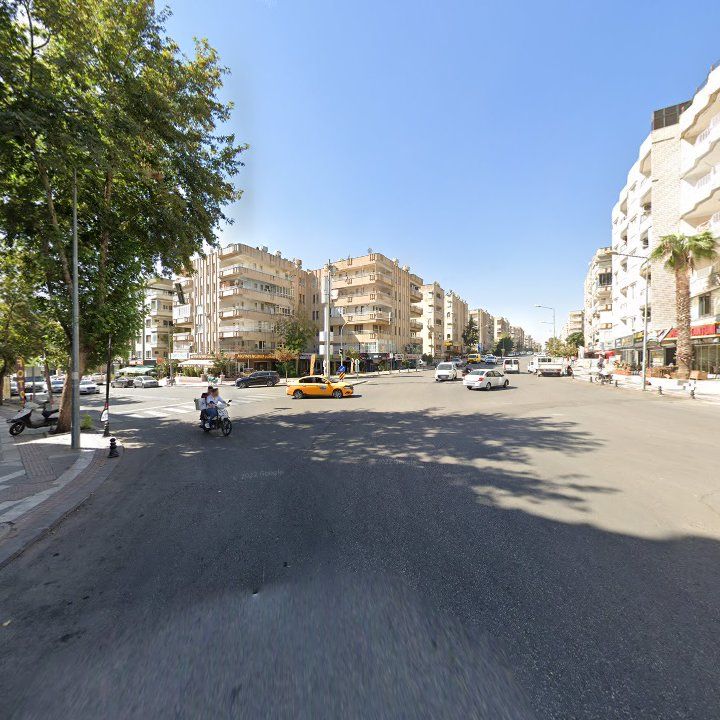 Fotoğraf 14