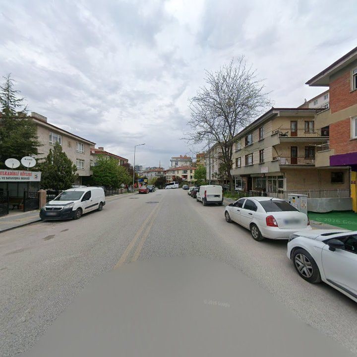 Fotoğraf 10