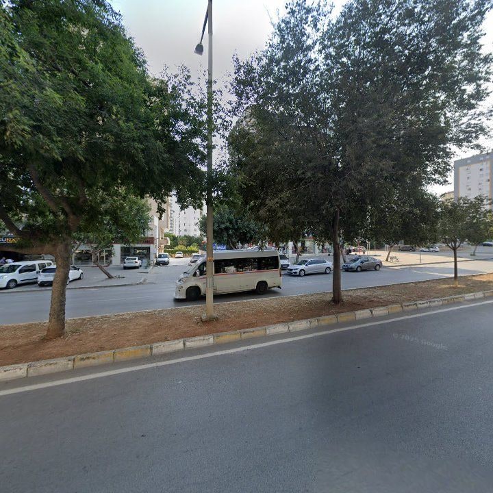 Fotoğraf 8