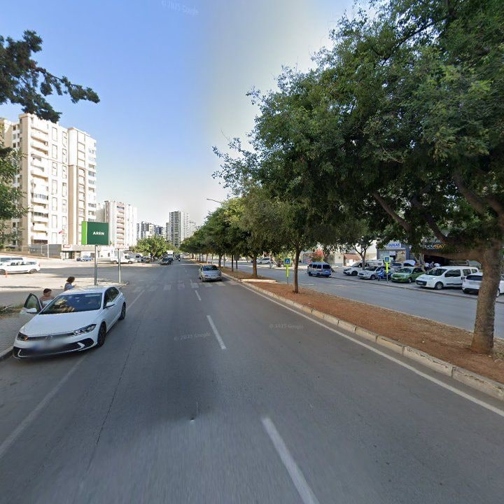 Fotoğraf 7