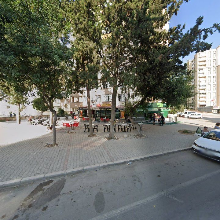 Fotoğraf 6