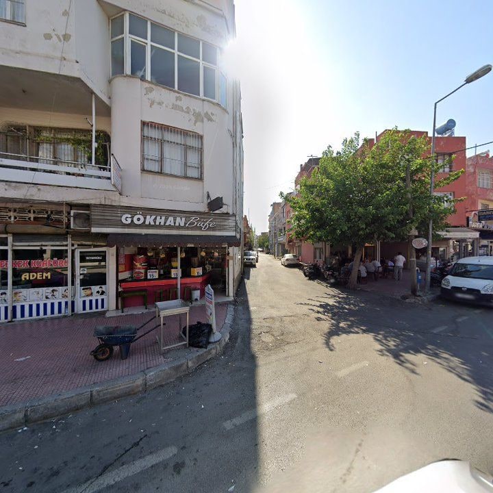 Fotoğraf 8