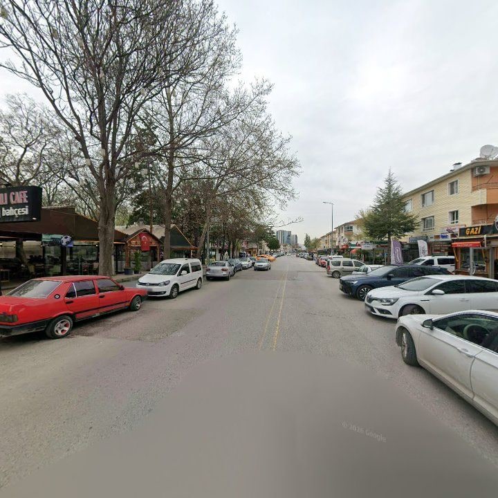 Fotoğraf 8