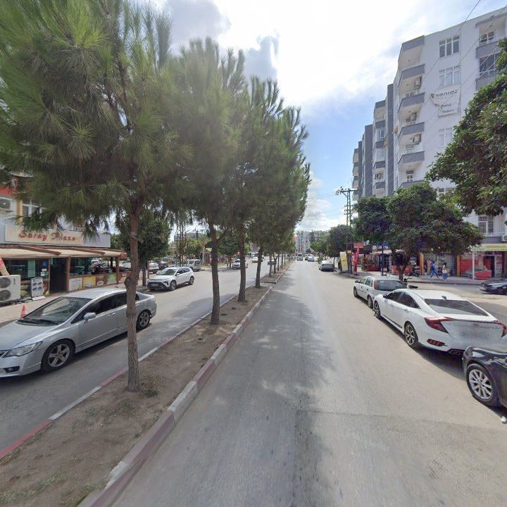 Fotoğraf 8
