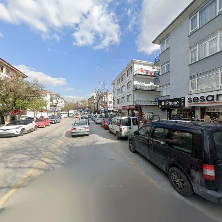 Fotoğraf 12