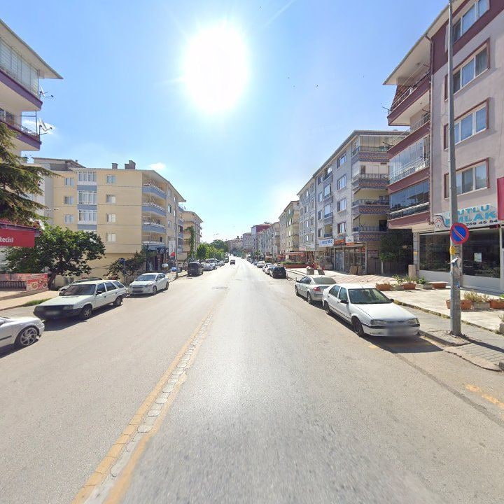Fotoğraf 12