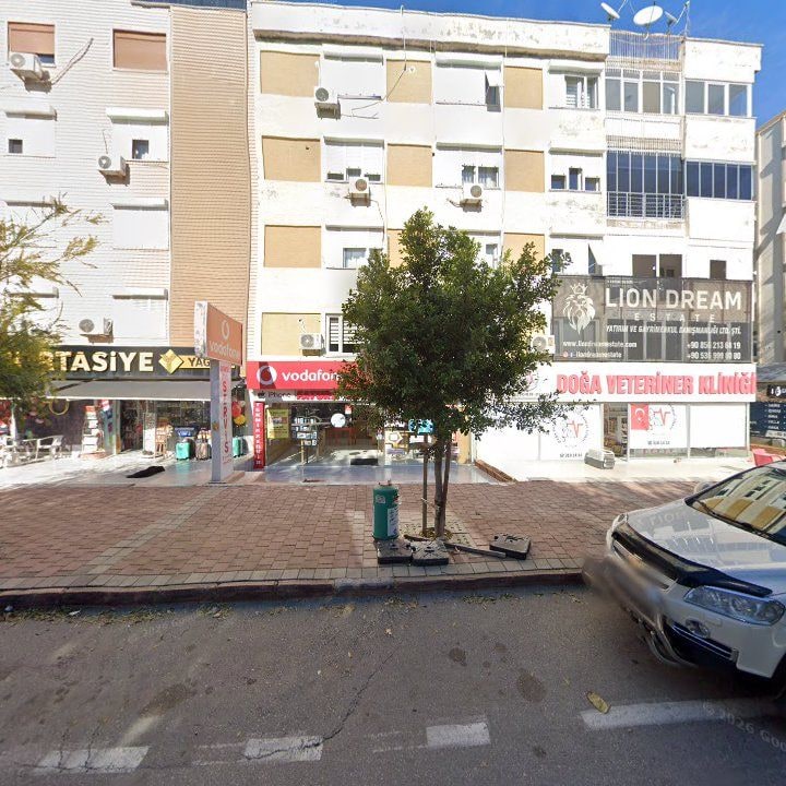 Fotoğraf 9
