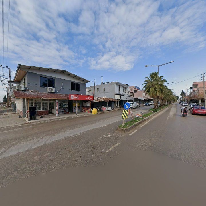 Fotoğraf 3
