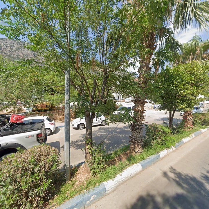 Fotoğraf 8