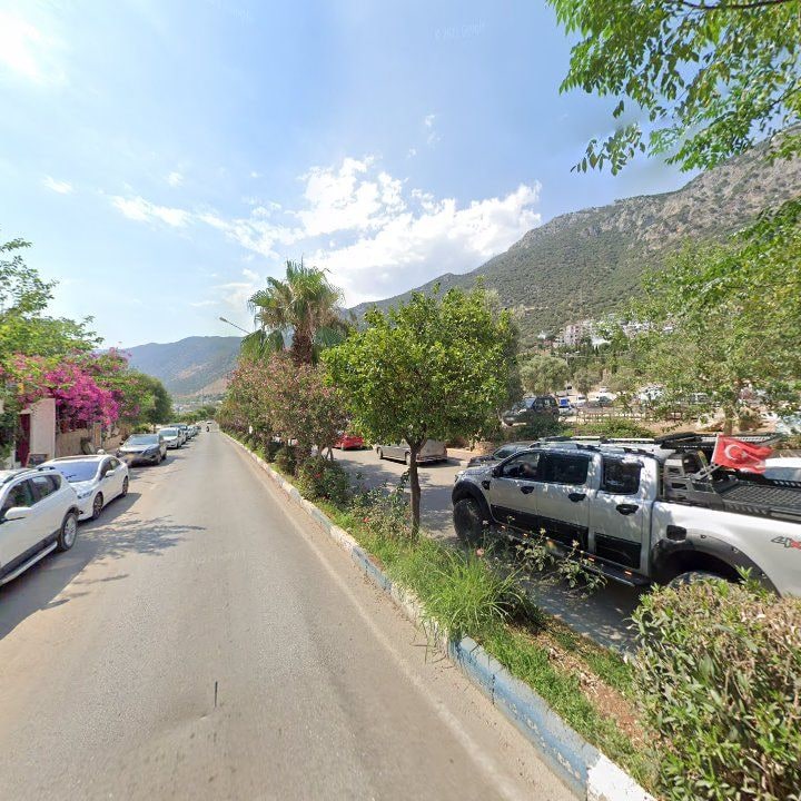 Fotoğraf 7