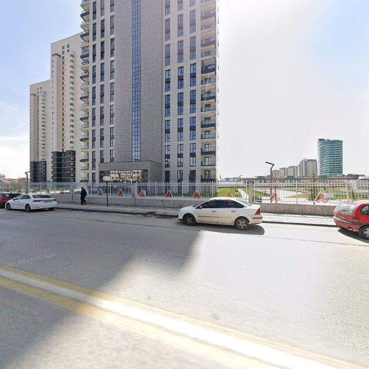 Fotoğraf 10