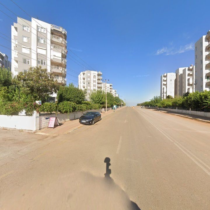 Fotoğraf 6
