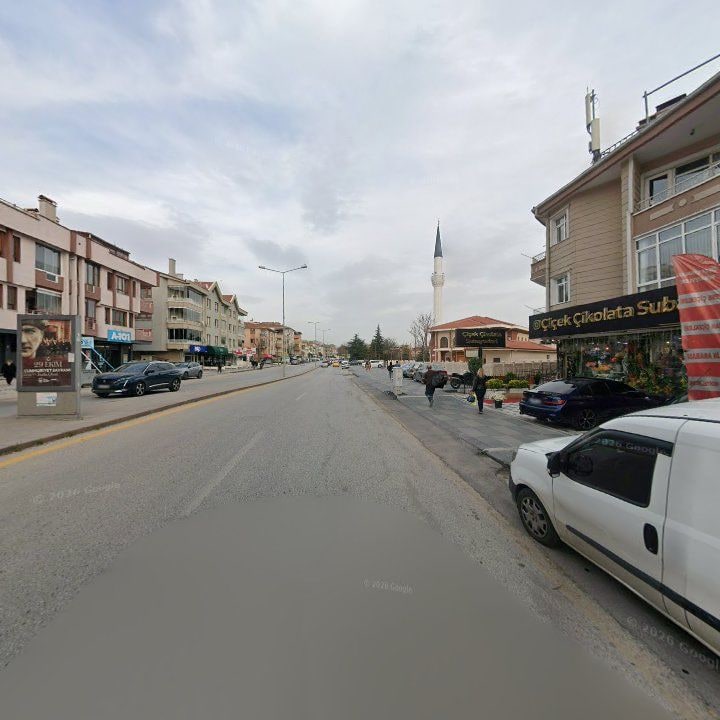 Fotoğraf 8