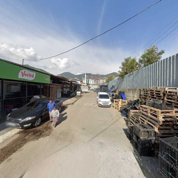 Fotoğraf 10