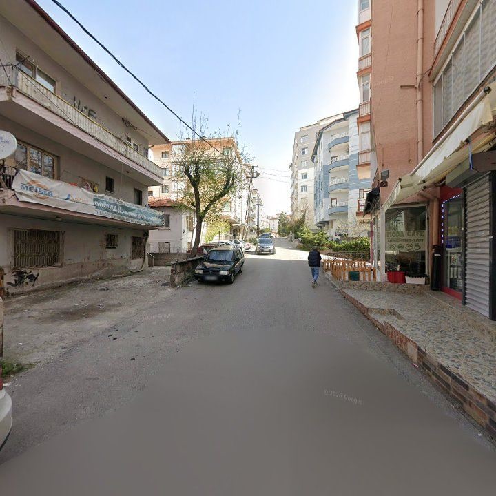 Fotoğraf 8