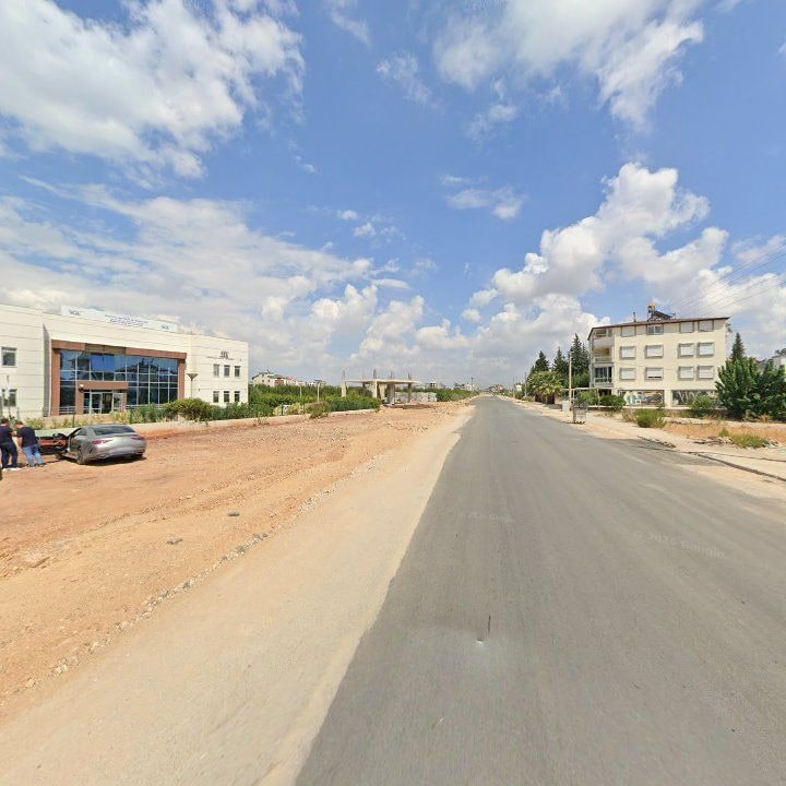 Fotoğraf 8