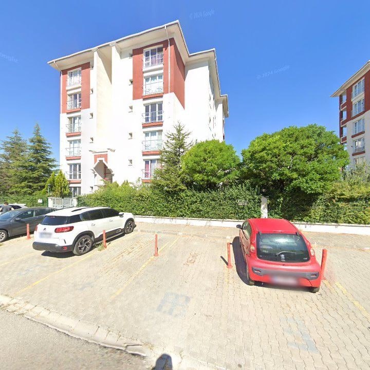 Fotoğraf 13