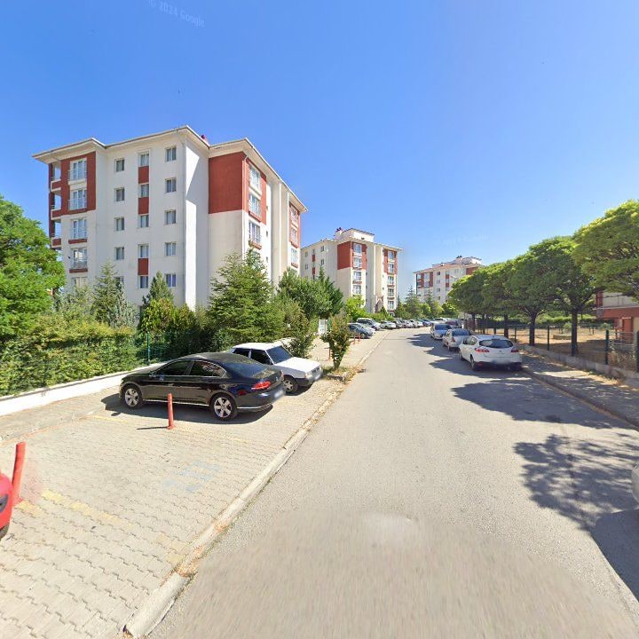 Fotoğraf 14