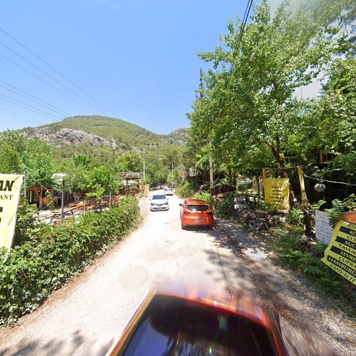 Fotoğraf 8