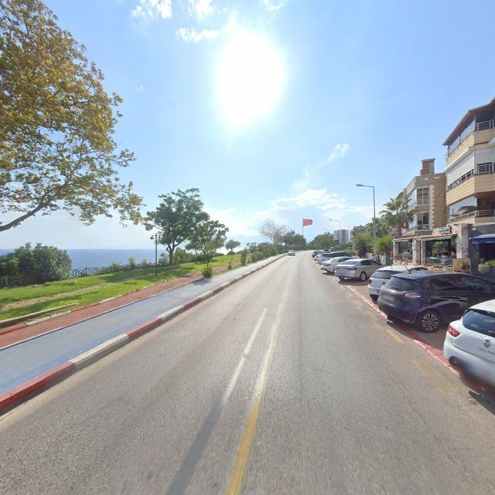 Fotoğraf 12