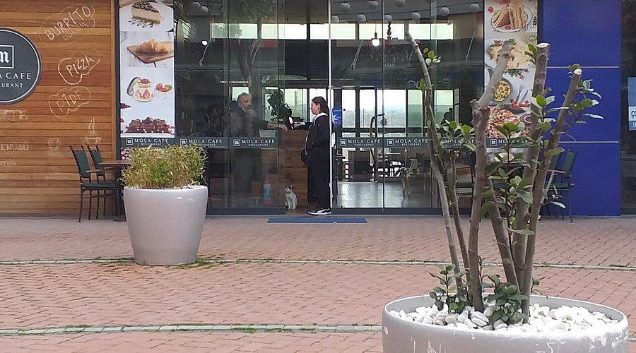 Mola Cafe & Restaurant