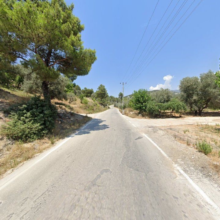 Fotoğraf 9